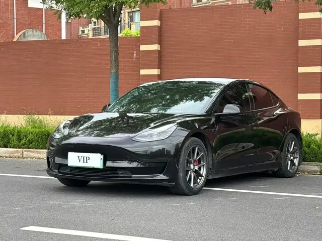 Tesla Model 3 2022 Model Rear-Wheel Drive Version