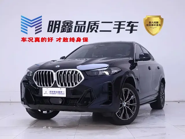 BMW X6 2023 xDrive30i M Sport Package