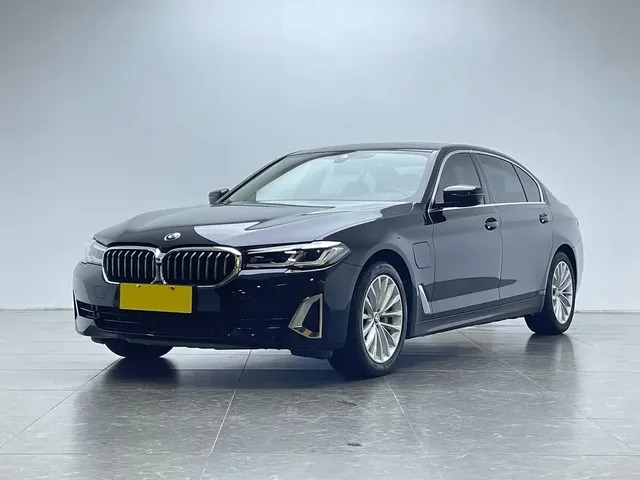 BMW 5 Series New Energy 2021 535Le Luxury Package