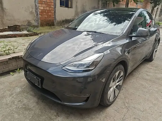 Tesla Model Y 2021 Standard Range Rear-Wheel Drive