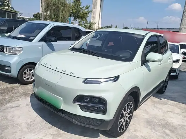Dayun Yuehu 2022 30.66kWh 2WD VIP Edition