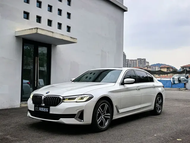 BMW 5 Series 2021 530Li Leading Luxury Package