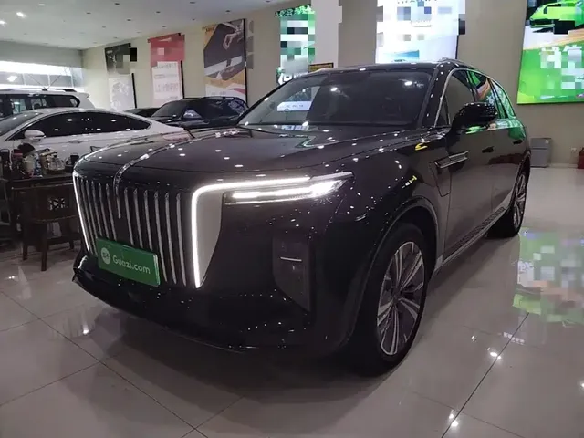 Hongqi E-HS9 2021 460km Flagship Comfort 6-seater