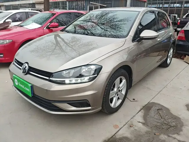 Volkswagen Golf 2019 1.6L Auto Fashion (China V)