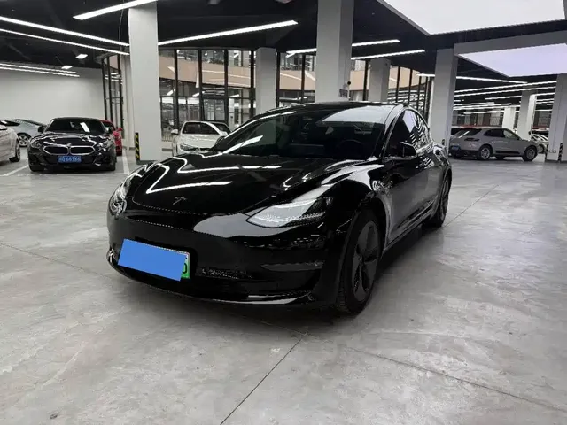 Tesla Model 3 (Import) 2019 Long Range RWD Version