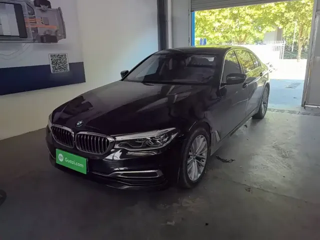 BMW 5 Series 2020 530Li Premium Luxury Package