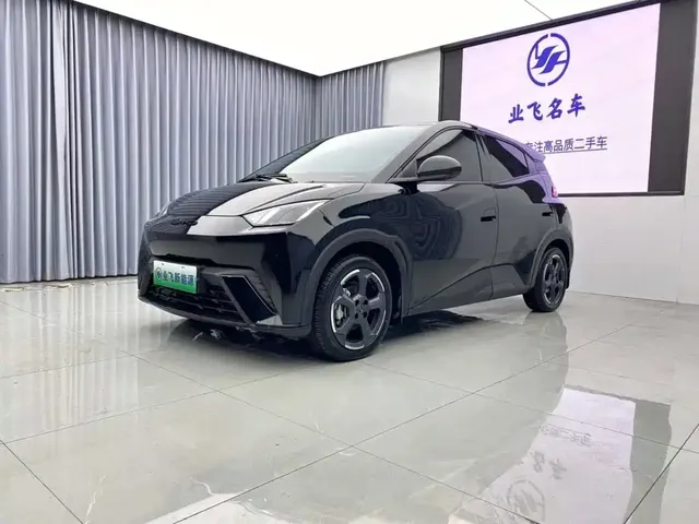 BYD Seagull 2023 Freedom Edition