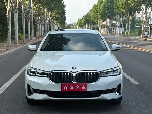 BMW 5 Series 2021 530Li Leading Luxury Package