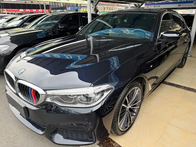 BMW 5 Series 2020 530Li Leading M Sport Package