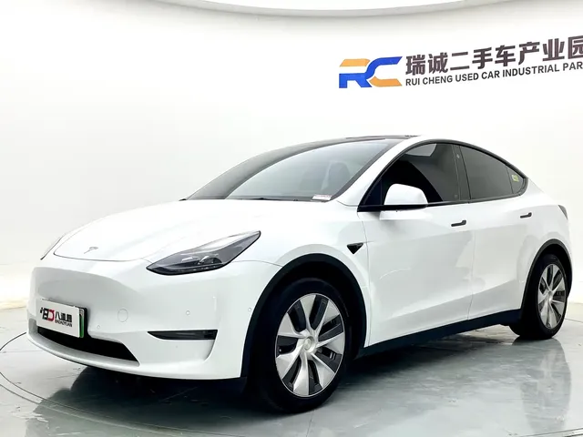 Tesla Model Y 2021 Standard Range Rear-Wheel Drive