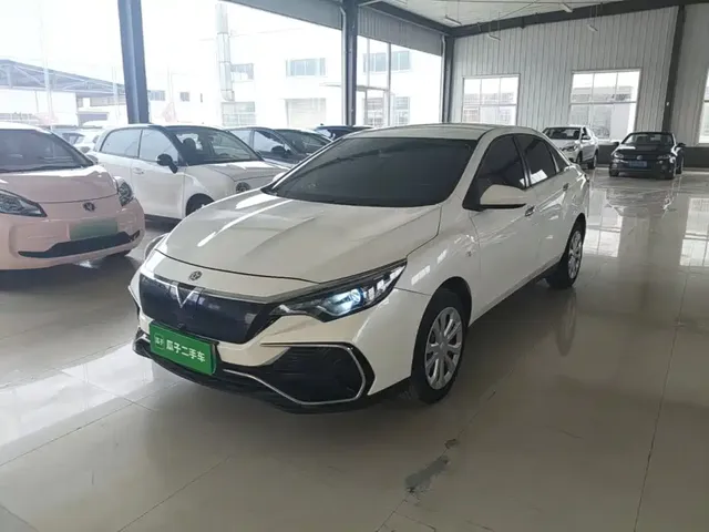 Venucia D60EV 2020 Standard Range Smart Edition