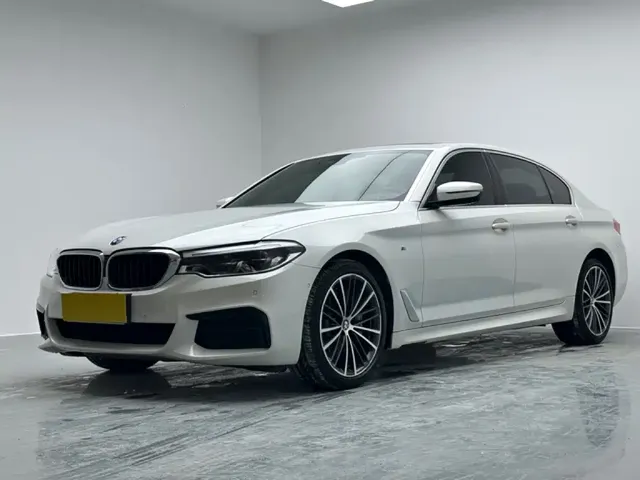 BMW 5 Series 2020 530Li Leading M Sport Package