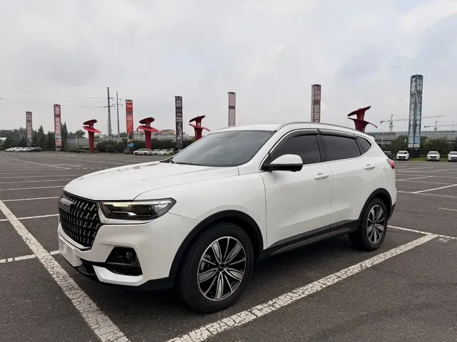 Haval H6 2023 National Trend Edition 1.5T Automatic Champion