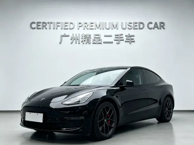 Tesla Model 3 2021 Performance High-Performance All-Wheel Drive