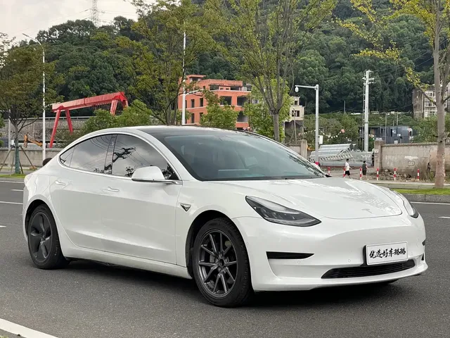 Tesla Model 3 2020 Standard Range Rear-Wheel Drive Upgrade