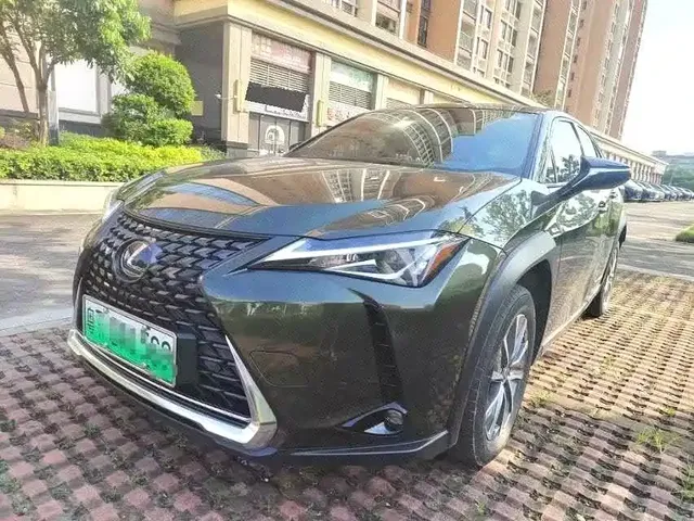 Lexus UX Electric 2020 300e Pure Yue Edition