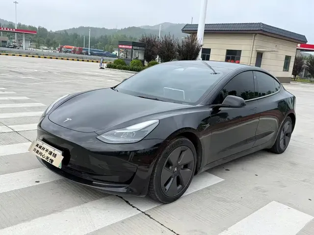 Tesla Model 3 2022 Model Rear-Wheel Drive Version