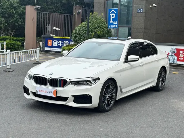 BMW 5 Series 2020 530Li Leading M Sport Package
