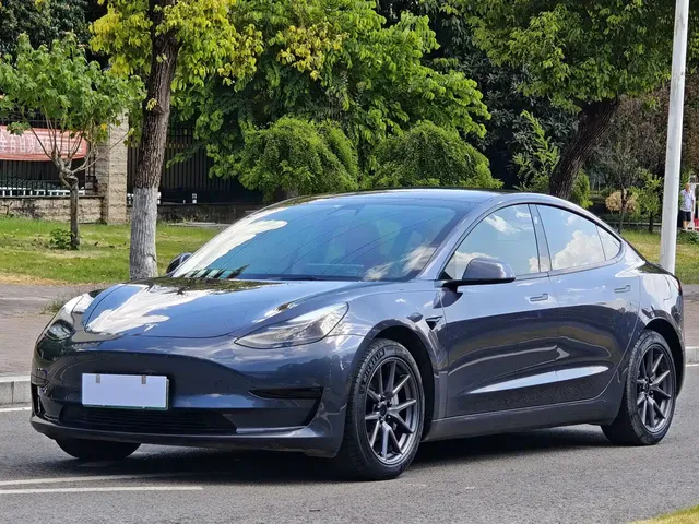 Tesla Model 3 2021 Standard Range Rear-Wheel Drive Upgrade 3D6