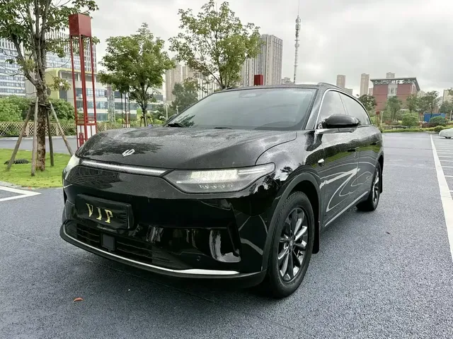 Leapmotor C11 2023 Pure Electric 500 Comfort Edition