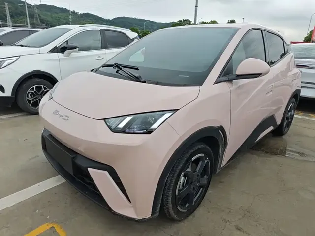 BYD Seagull 2024 Glory Edition 305km Freedom Edition
