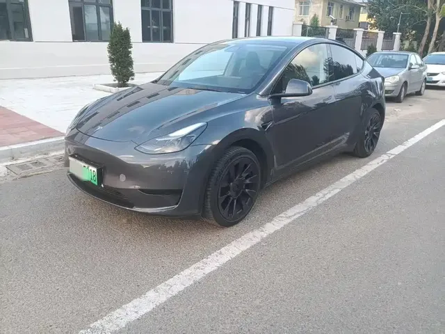 Tesla Model Y 2022 Rear-Wheel Drive Version