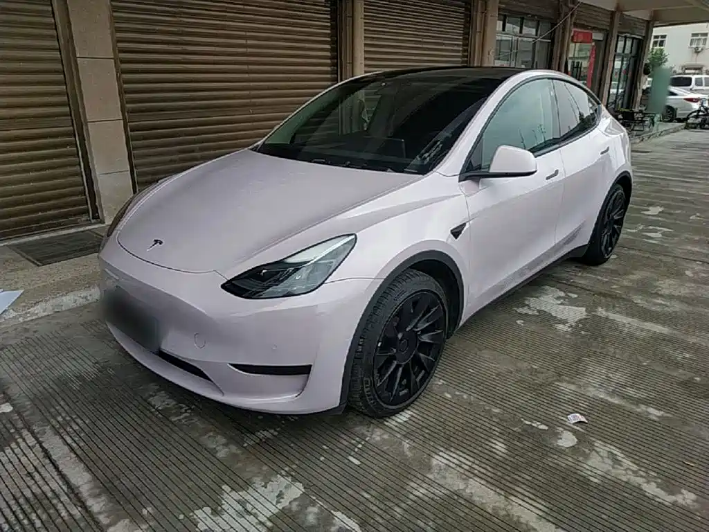 Tesla Model Y 2022 Rear-Wheel Drive Version
