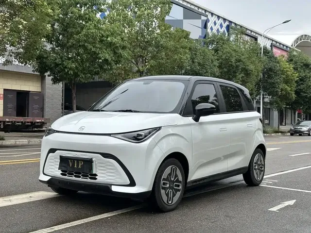 QQ New Energy Duomi 2025 305km Comfort Edition