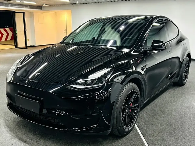 Tesla Model Y 2022 Rear-Wheel Drive Version