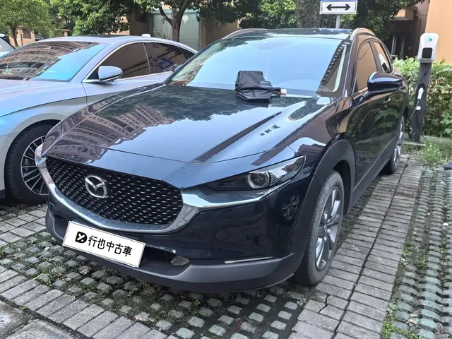 Mazda CX-30 2021 2.0L Auto Premium Joy Type