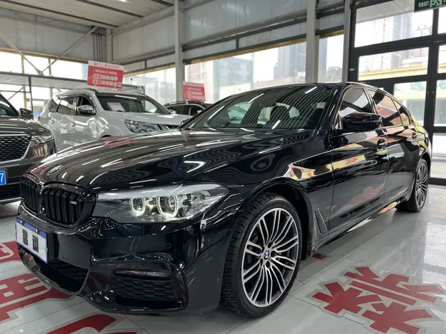 BMW 5 Series 2019 530Li Leading M Sport Package