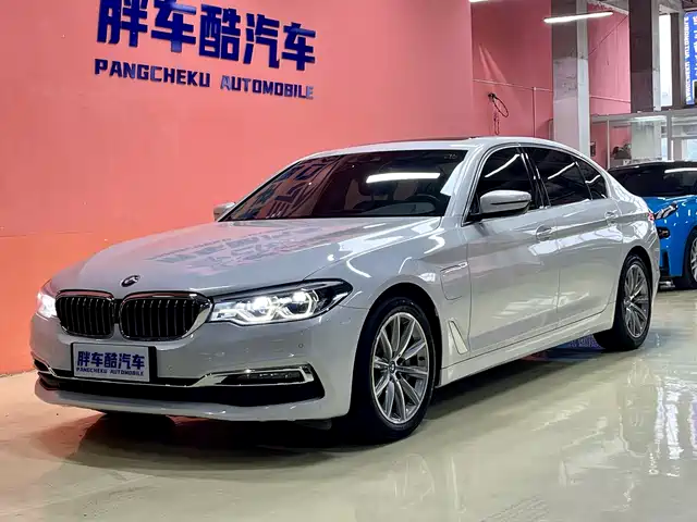 BMW 5 Series New Energy 2019 530Le Luxury Package