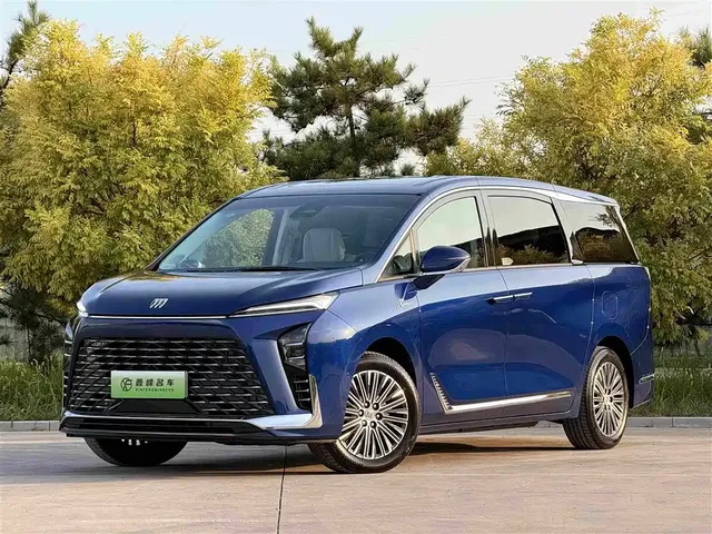 Buick GL8 New Energy 2024 Land Honor Luxury Edition 6-Seater