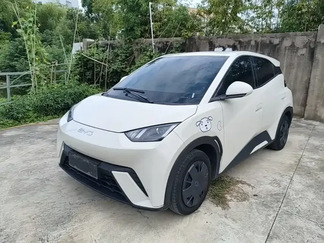 BYD Seagull 2025 305km Vitality