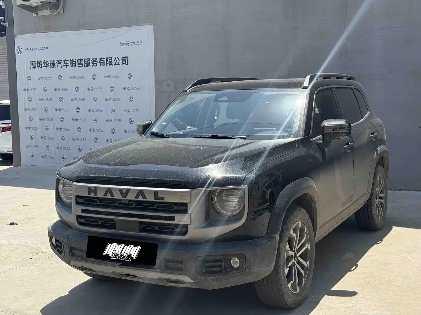 Haval Big Dog 2024 1.5T DCT Border Collie Edition