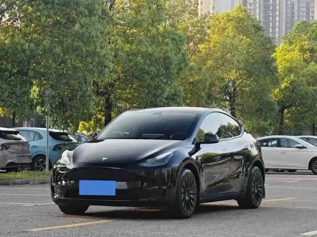Tesla Model Y 2022 Rear-Wheel Drive Version