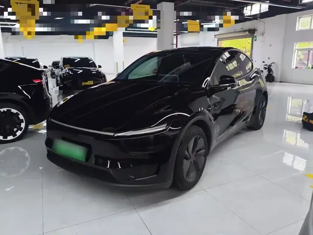 Tesla Model Y 2025 Rear-Wheel Drive