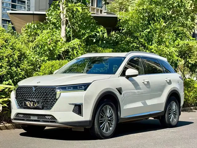 Venucia Star 2021 260T Auto 48V Mild Hybrid Star Edition