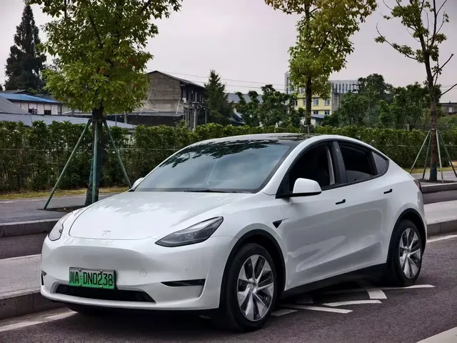 Tesla Model Y 2021 Standard Range Rear-Wheel Drive