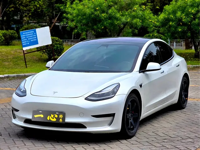 Tesla Model 3 (Import) 2019 Performance High-Efficiency All-Wheel Drive Version