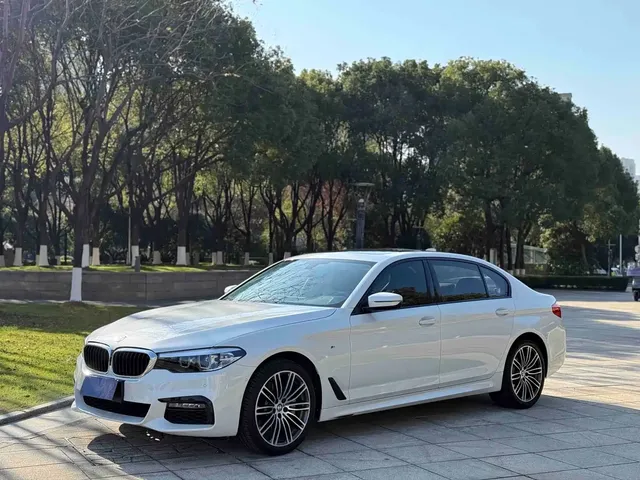 BMW 5 Series 2019 530Li Leading M Sport Package