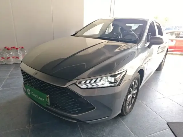 BYD Qin PLUS 2023 Champion Edition DM-i 55KM Leading
