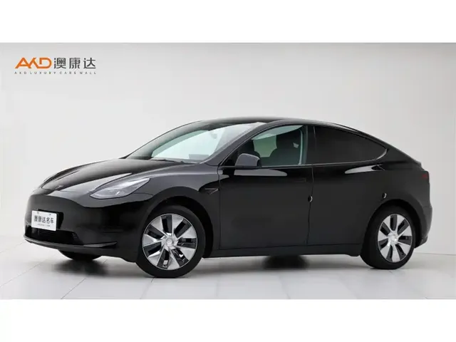 Tesla Model Y 2022 Rear-Wheel Drive Version