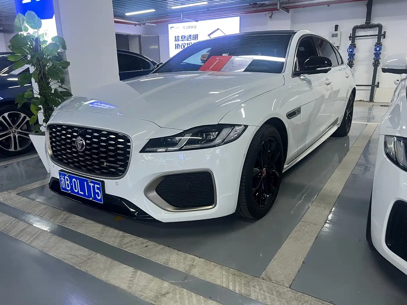 Jaguar XFL 2023 XFL 2.0T P250 2WD Elite Sport Gilded Edition
