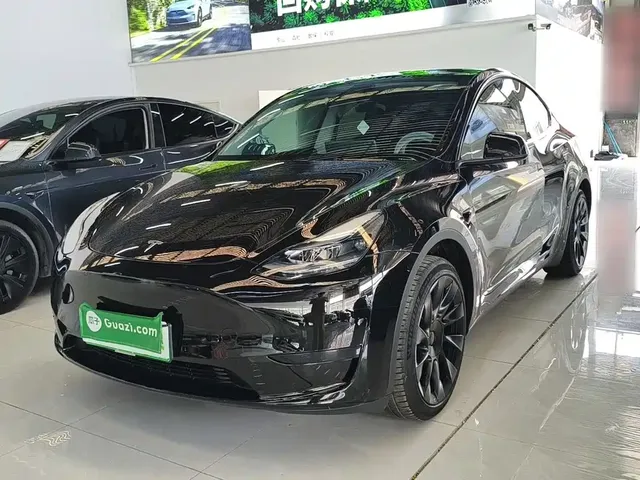 Tesla Model Y 2024 Rear-Wheel Drive Version