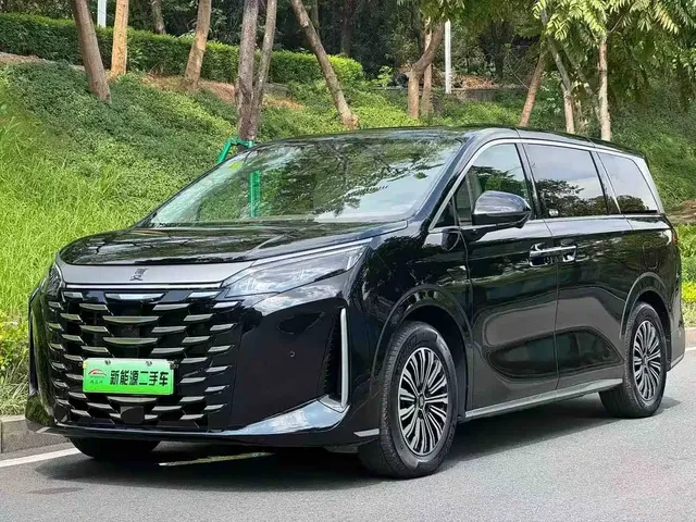 BYD Xia 2025 DM-i 1.5T 180km Surpass Edition