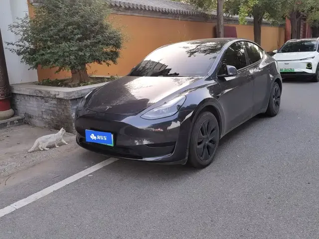 Tesla Model Y 2024 Rear-Wheel Drive Version