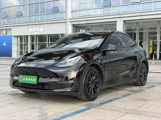 Tesla Model Y 2021 Standard Range Rear-Wheel Drive