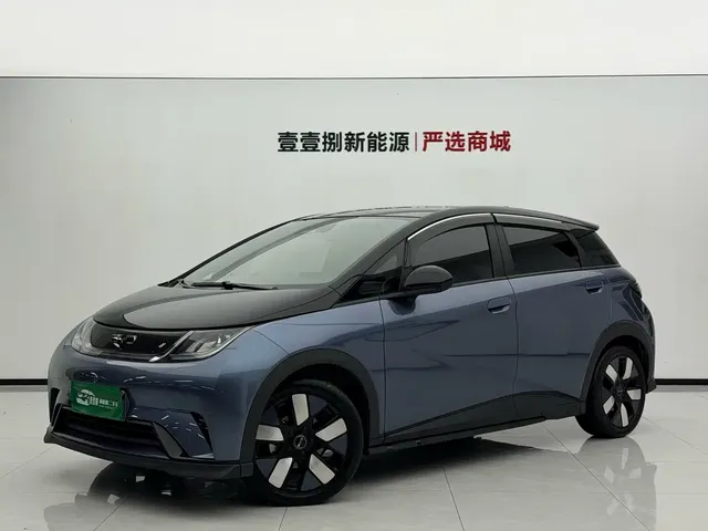 BYD Dolphin 2025 520km Knight Edition