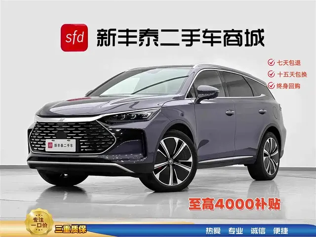 BYD Tang New Energy 2022 DM-p 215KM AWD Executive